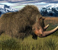В Якутии нашли украденную тушу шерстистого носорога