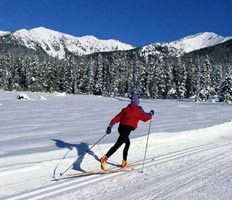 Олимпийские чемпионы пересекут Чукотку на лыжах