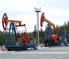 Часть Верхнекамского месторождения продали за 56 млрд рублей