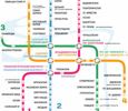 Пассажиров петербургского метро научат спасать самоубийц