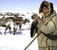 В Якутии вспомнят традиции оленеводов