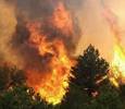 Нижний Новгород объявляет войну лесным пожарам