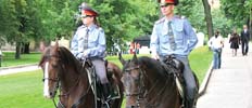 Спецподразделения МВД Хакасии усмиряли хулиганов при помощи конной милиции