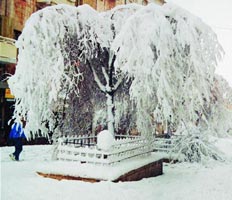 За сутки в Барнауле выпала месячная норма снега 